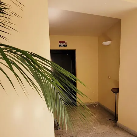 아파트 Maison S Elena 팔레르모